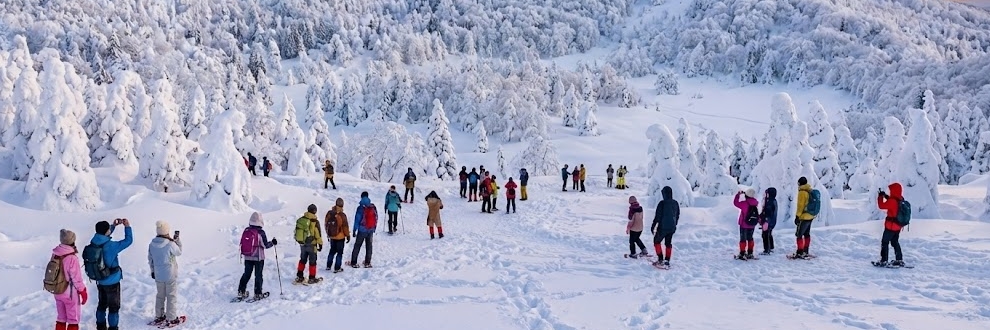 �X�g�R���X�Ϗ܂̃C���[�W