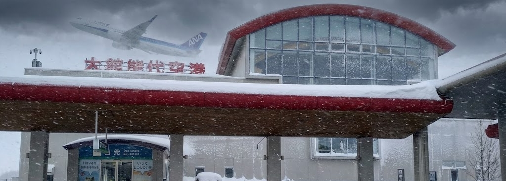 ����̑�ٔ\���`