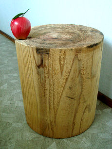 SUGI0608.JPG - 27,798BYTES